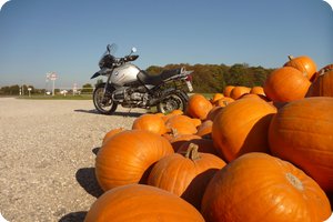 Herbstimpression mit Kürbissen