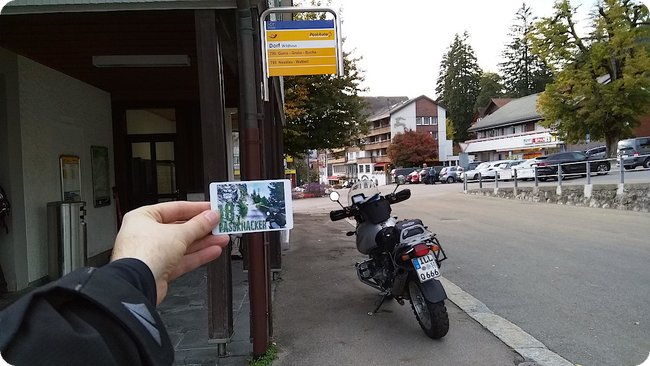 Am Nachweispunkt »Wildhaus«