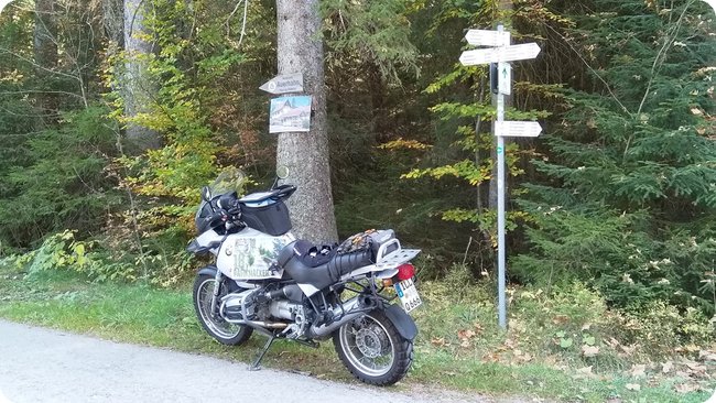 Am Nachweispunkt »Auf der Steig«