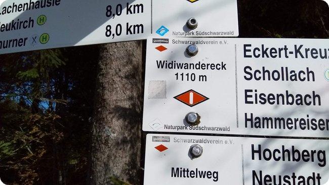 Detail am Nachweispunkt »Widiwandereck«