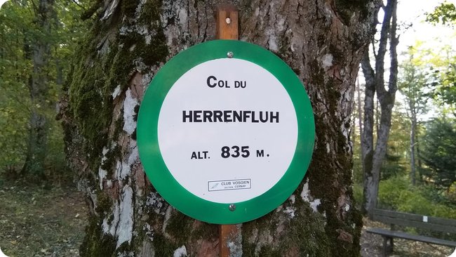 Detail am Nachweispunkt »Herrenfluh, Col de«