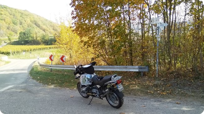 Am Nachweispunkt »Bickensohler Steinfelsen«