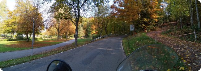 Nach dem Ortsende von Waldkirch: Die Straße den Kandel hinauf