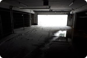 Schneeverwehung: Der Schnee kommt überall hin