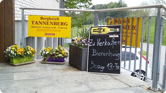 Impression am Nachweispunkt »Tannenberg (Waldkirch)«