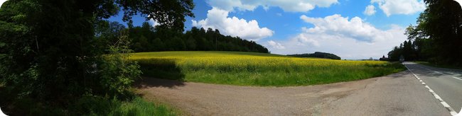 Panorama an der Bushaltestelle »Hörnliwald«