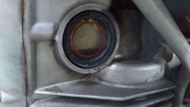 ...und den Inhalt in den Motor laufen lassen