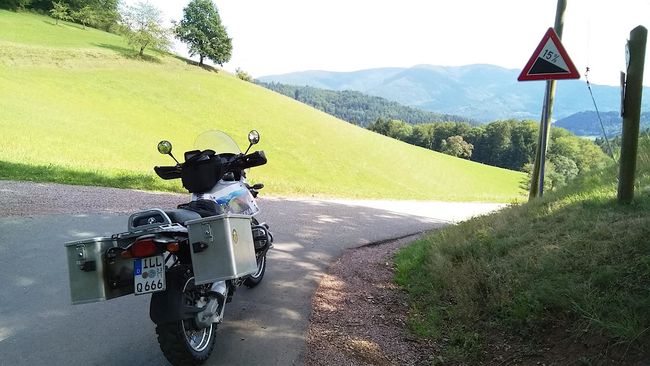 Am Nachweispunkt »Lindenbühl«