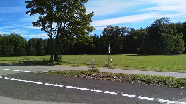 »Ich wollt dich längst schon wieder sehen [...] Mein Freund der Baum ist tot«