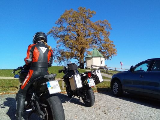 Samerberg / Luitpoldeiche