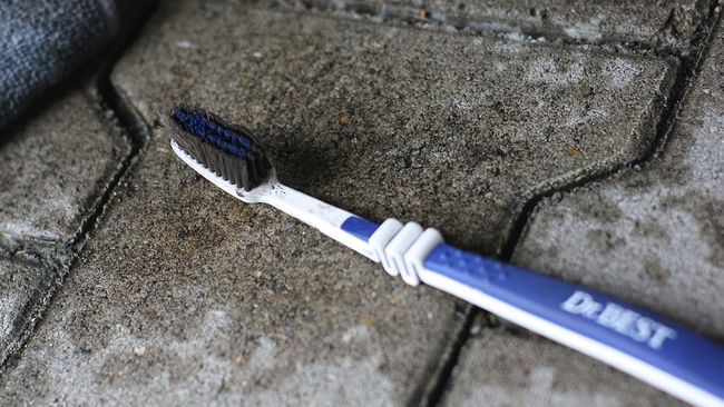 Die Borsten schrubben den Dreck weg – nicht nur interdental
