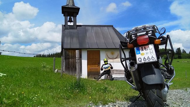Am Nachweispunkt »Gereute«