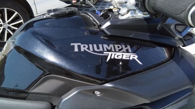 2011er Tiger 800 in schwarz mit nützlichem Zubehör