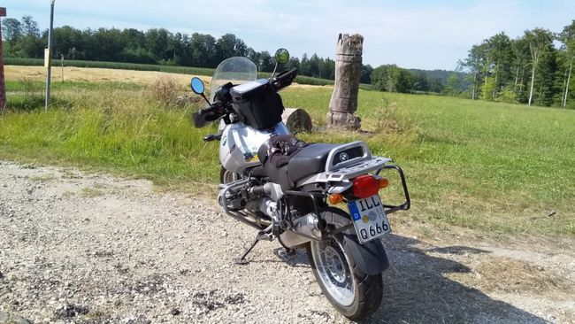 Am Nachweispunkt »Königseiche«