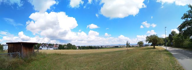 Panorama am Nachweispunkt »Plattenhardt«