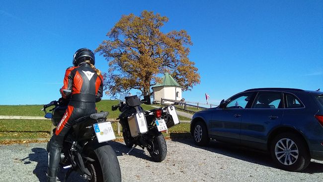 Am Nachweispunkt »Samerberg / Luitpoldeiche«