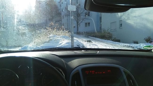 Fake News – das Thermometer misst nur die Sonnenstrahlen