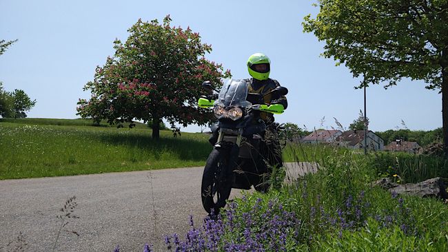 Meine Wenigkeit auf der Triumph Tiger 800 am Nachweispunkt »Alte Steige (Erkenbrechtsweiler)«