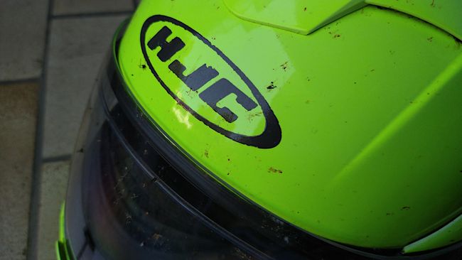 Insektenüberreste auf dem Helm