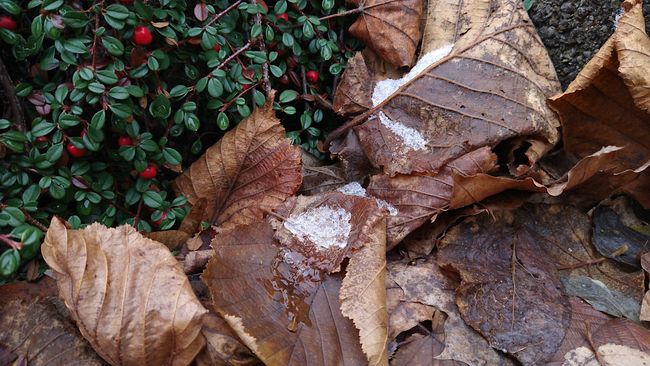 Schneereste kämpfen im Schatten gegen (fehlende) Plusgrade