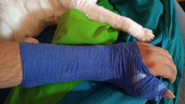 Die zweite Version in blau – mein Mitbewohner macht sich wohl über mich lustig?