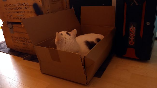 Was macht da komische Geräusche?