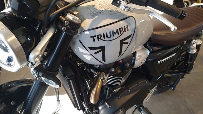 Schön anzuschauen, für mich aber zu hoch und zu teuer: Tiger Scrambler 1200