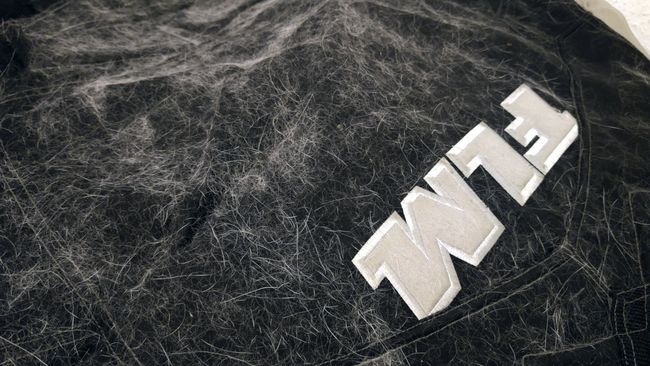 »Gesammelte Werke«