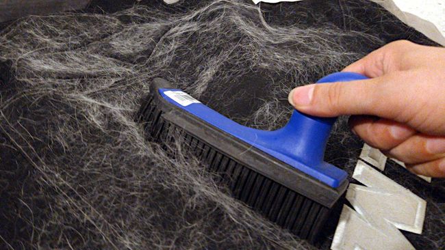 Dann mal »abfegen«: Katzenhaare lassen sich mit der Gummibürste gut sammeln