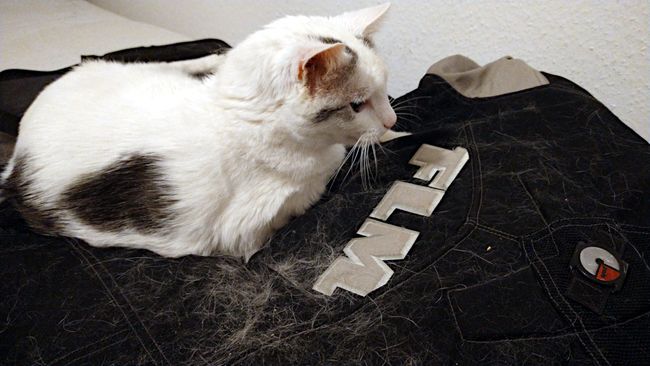 Der Künstler musste feststellen, dass sein Werk zerstört wurde