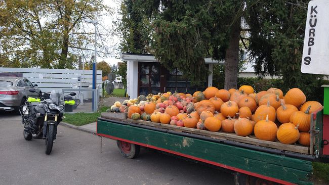 Herbst-Indikator: Kürbisse am Straßenrand