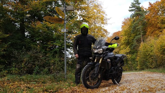 Passknacker allein im Wald (mit Tiger)