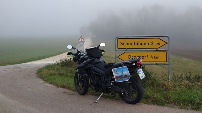 Der mutmaßlich letzte Nachweis für das Jahr 2025