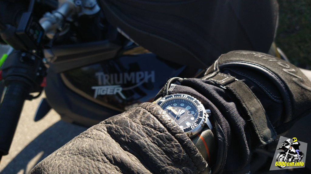 15:00 Uhr – erst der dritte Nachweispunkt erreicht